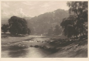 Summer Morning
