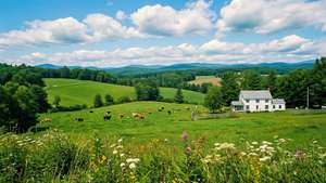 Summer Pastoral Vermont