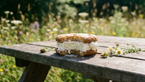Summer Picnic Treat