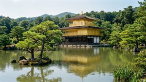 Summer Vista of Kinkaku-ji