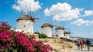 Summer Windmills