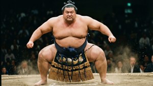 Sumo Challenge