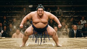 Sumo Clash