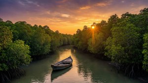 Sundarbans Sunset Serenity