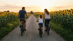 Sunflower Bike Ride