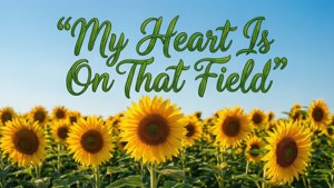 Sunflower Field