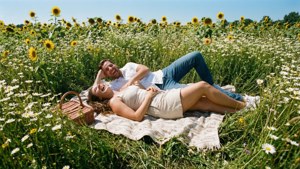 Sunflower Field Picnic