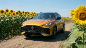 Sunflower Speed