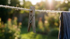 Sunlit Clothespin