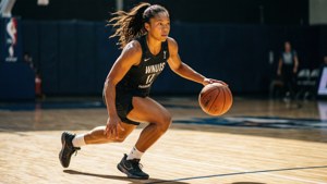 Sunlit Court Action