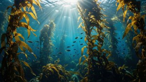 Sunlit Kelp Forest