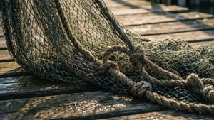 Sunlit Net on Pier