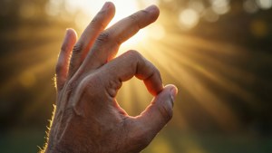 Sunlit OK Hand