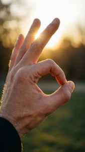 Sunlit Okay Gesture