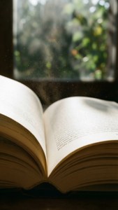 Sunlit Pages