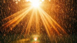 Sunlit Rain Glow