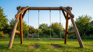 Sunny Backyard Swing Set