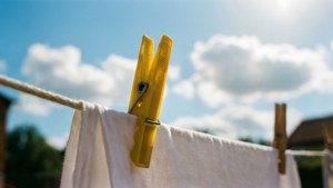Sunny Day Clothespin