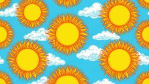 Sunny Days