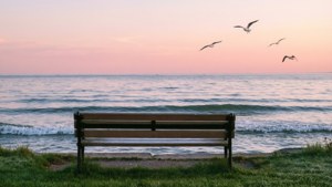 Sunrise at Greenwich Point