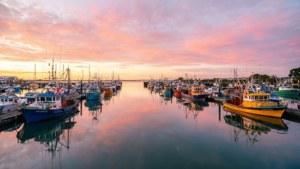 Sunrise at Town Basin