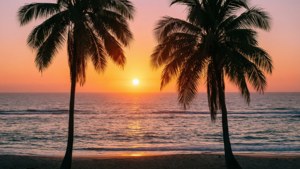 Sunrise Beach Serenity