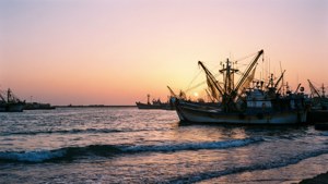 Sunrise Fishing Harbor