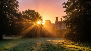 Sunrise Frogmore