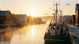 Sunrise Harbor Mist
