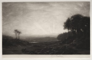 Sunrise in the Clearing