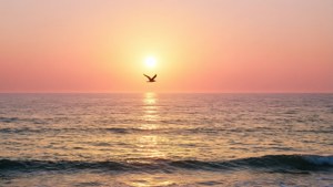 Sunrise of Hope