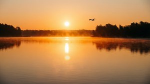 Sunrise of New Beginnings