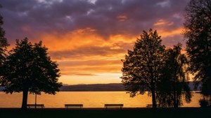 Sunrise on the Shore