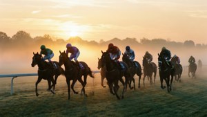 Sunrise Race