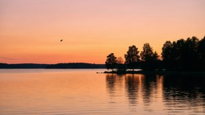 Sunrise Serenity