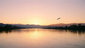 Sunrise Serenity