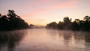 Sunrise Serenity