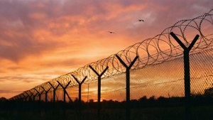 Sunrise Silhouette Fence