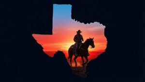 Sunrise to Sunset Texas Silhouette