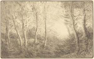 Sunrise, Woods of Clamard (Lever du soleil, bois de Clamard)