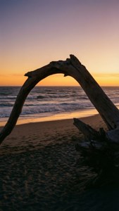Sunset Arch