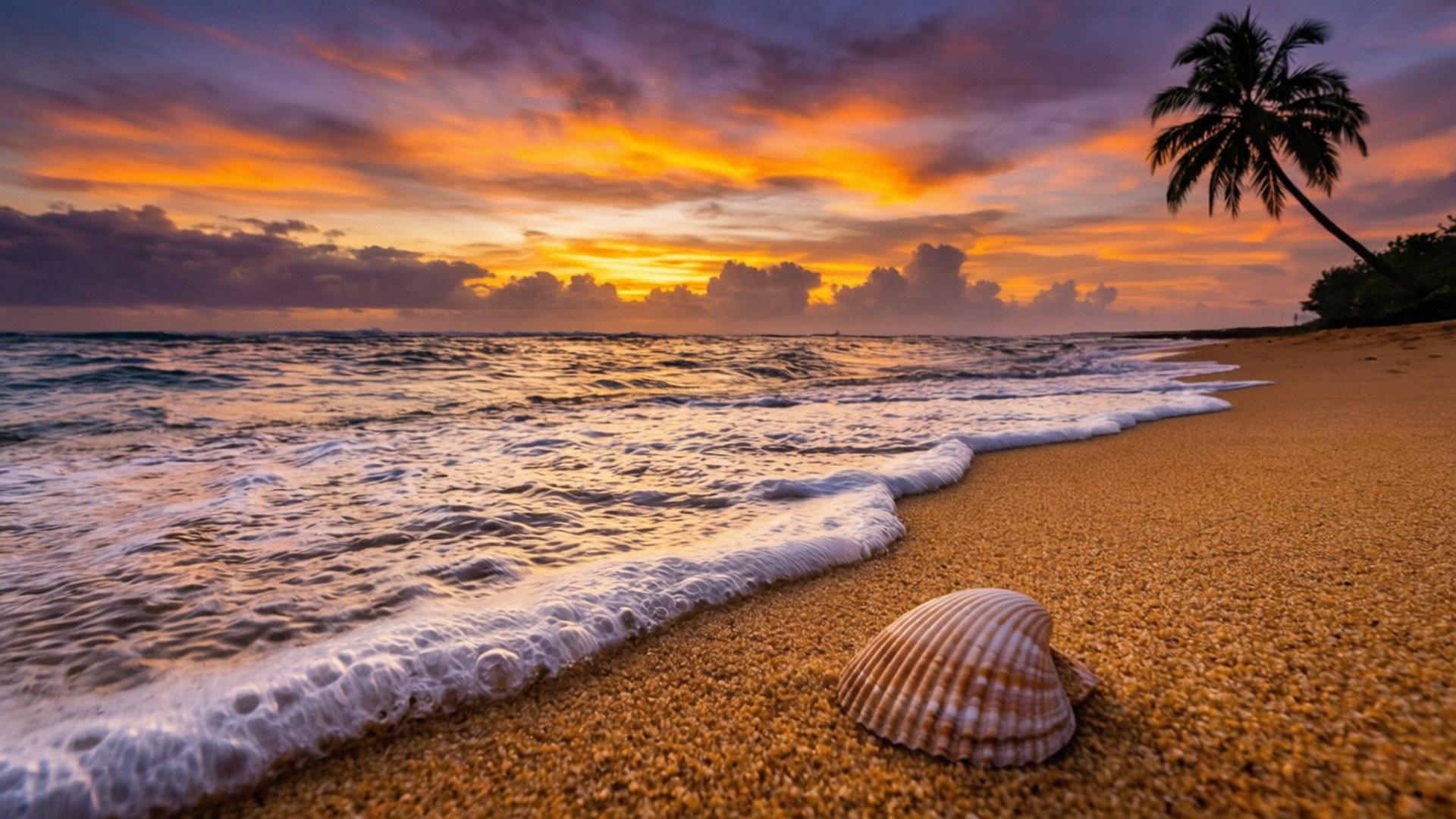 Sunset Beach Serenity by Wallpapers.art Studio