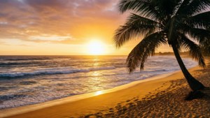 Sunset Beach Serenity
