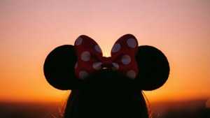 Sunset Bow Glow