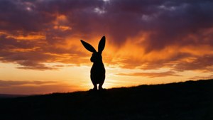 Sunset Bunny Silhouette
