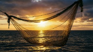 Sunset Cast