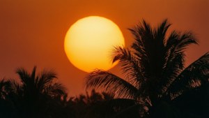 Sunset Circle Silhouette