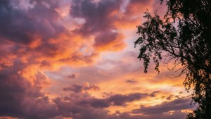 Sunset Clouds