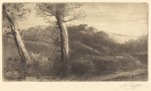 Sunset (Coucher du soleil)