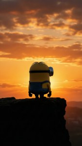 Sunset Dave